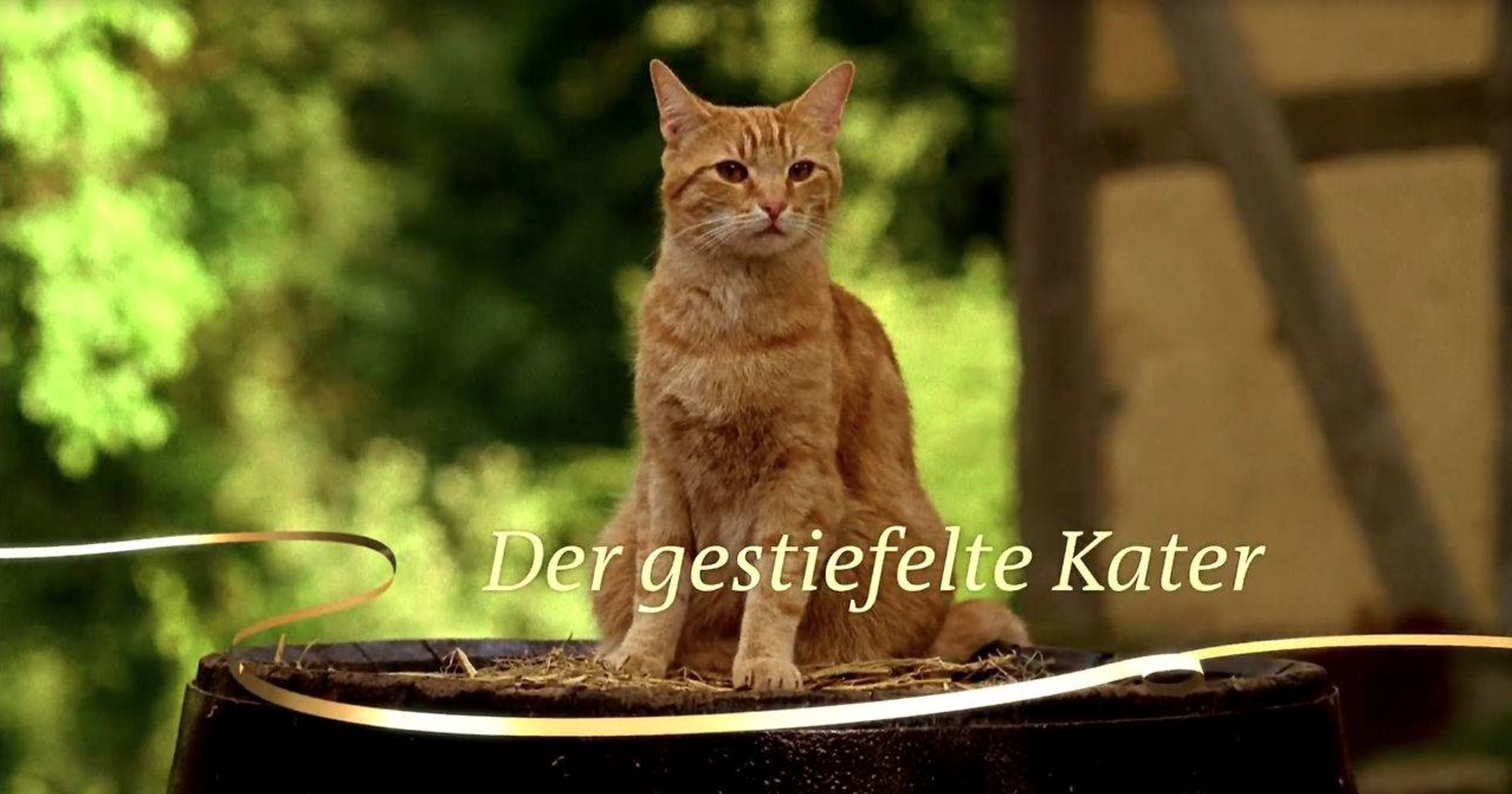 Der gestiefelte Kater